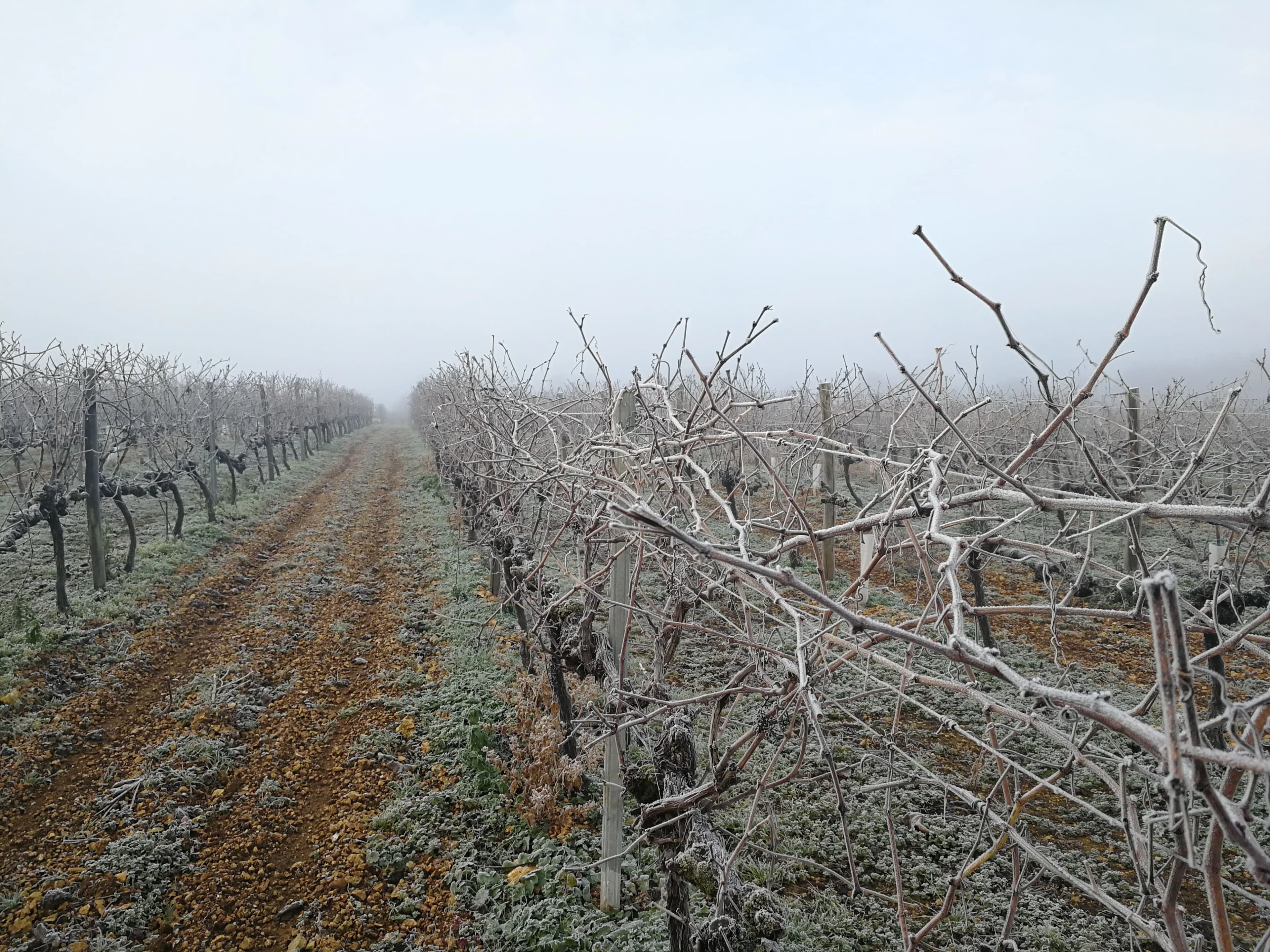 Image 14 de l'atmosphère et du paysage