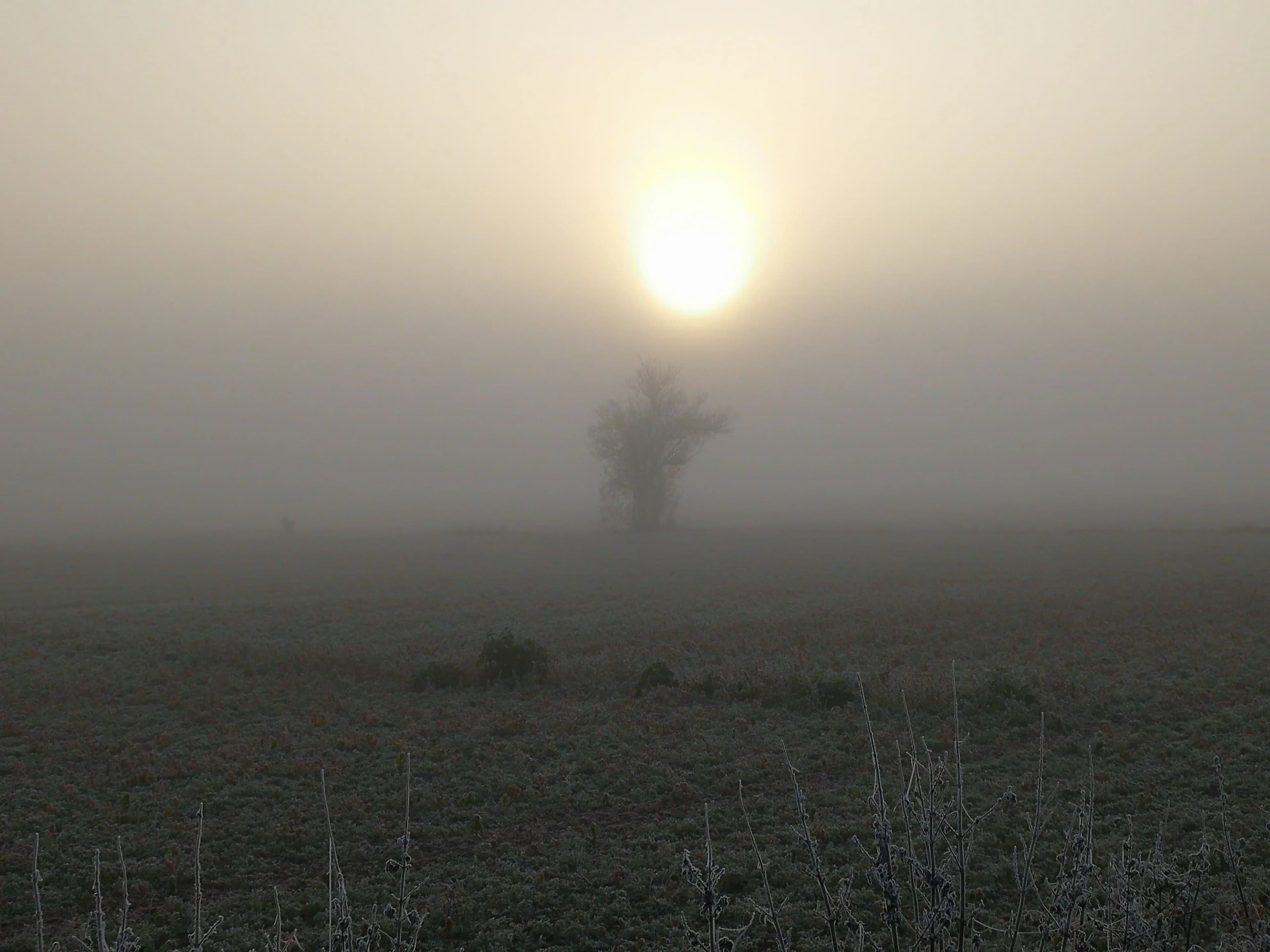 Image 15 de l'atmosphère et du paysage