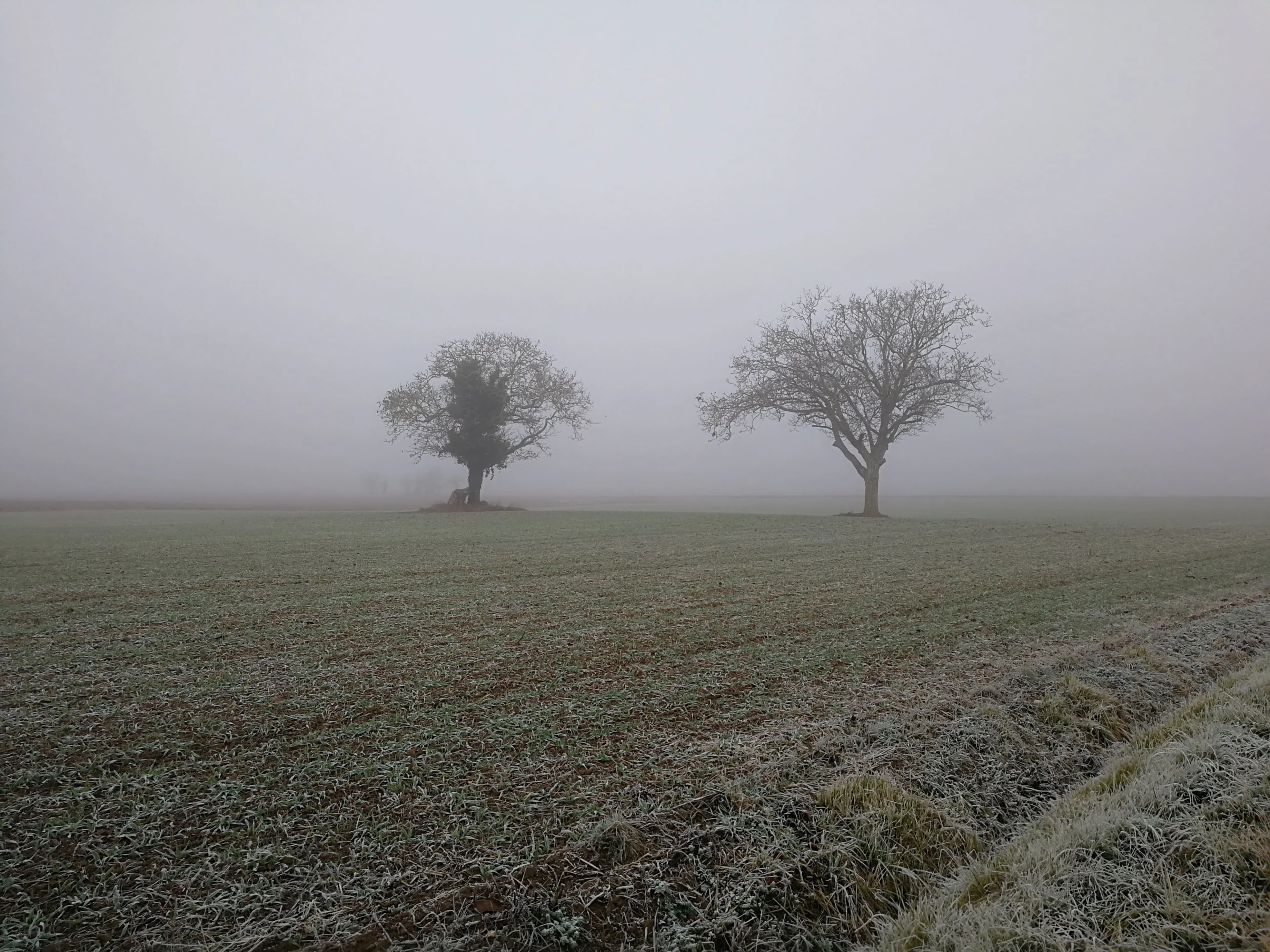 Image 17 de l'atmosphère et du paysage