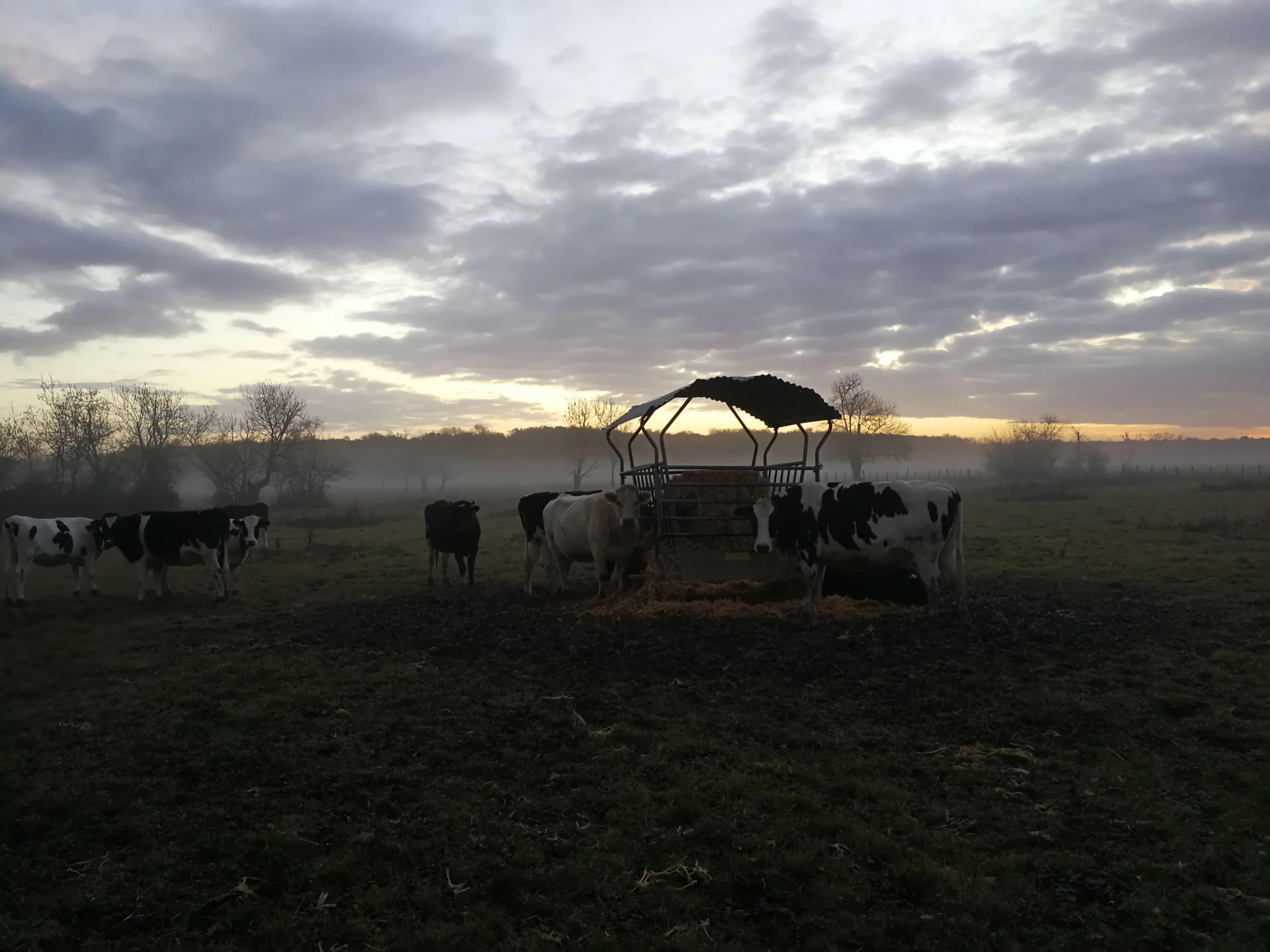 Image 18 de l'atmosphère et du paysage