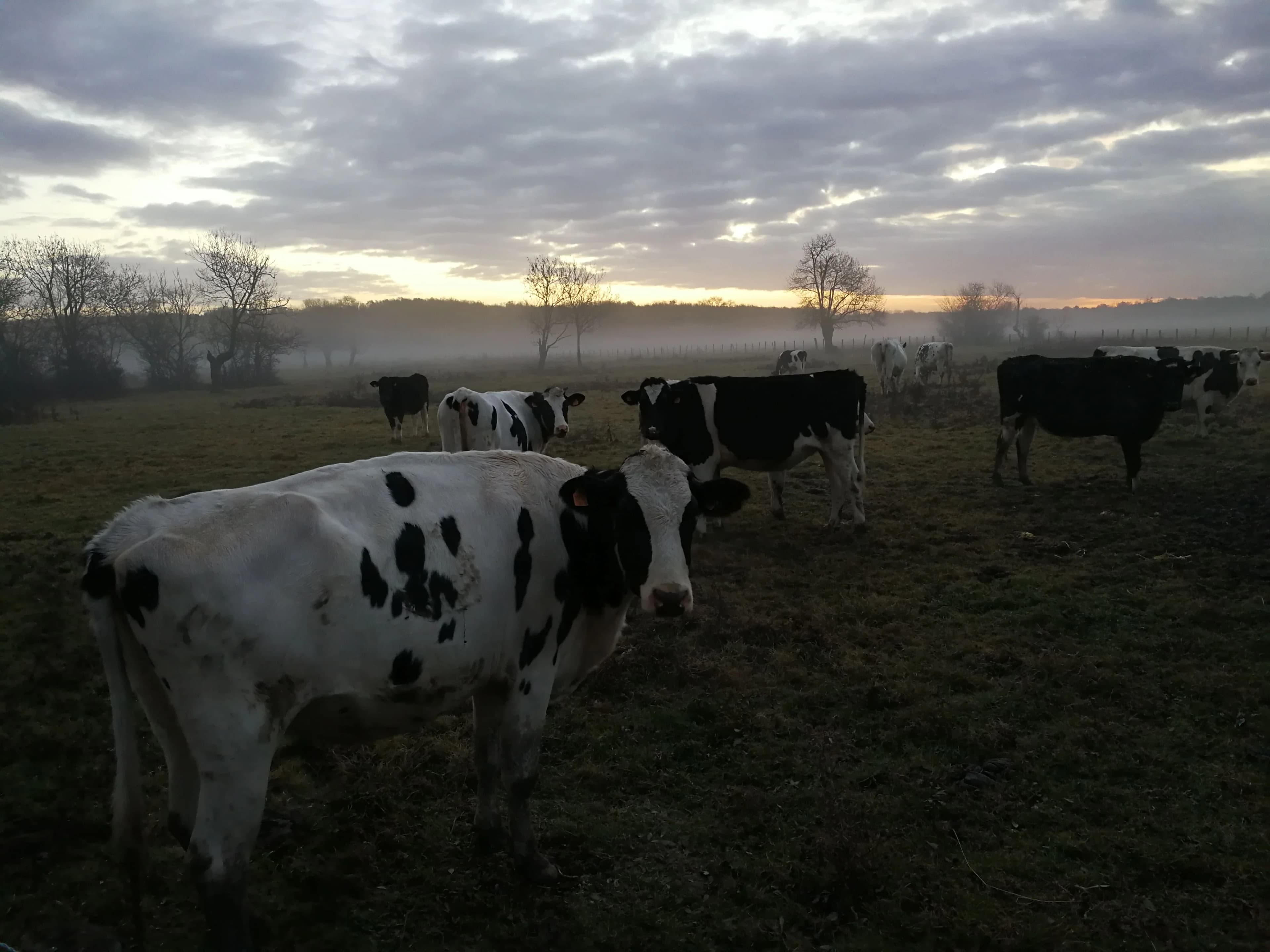 Image 19 de l'atmosphère et du paysage