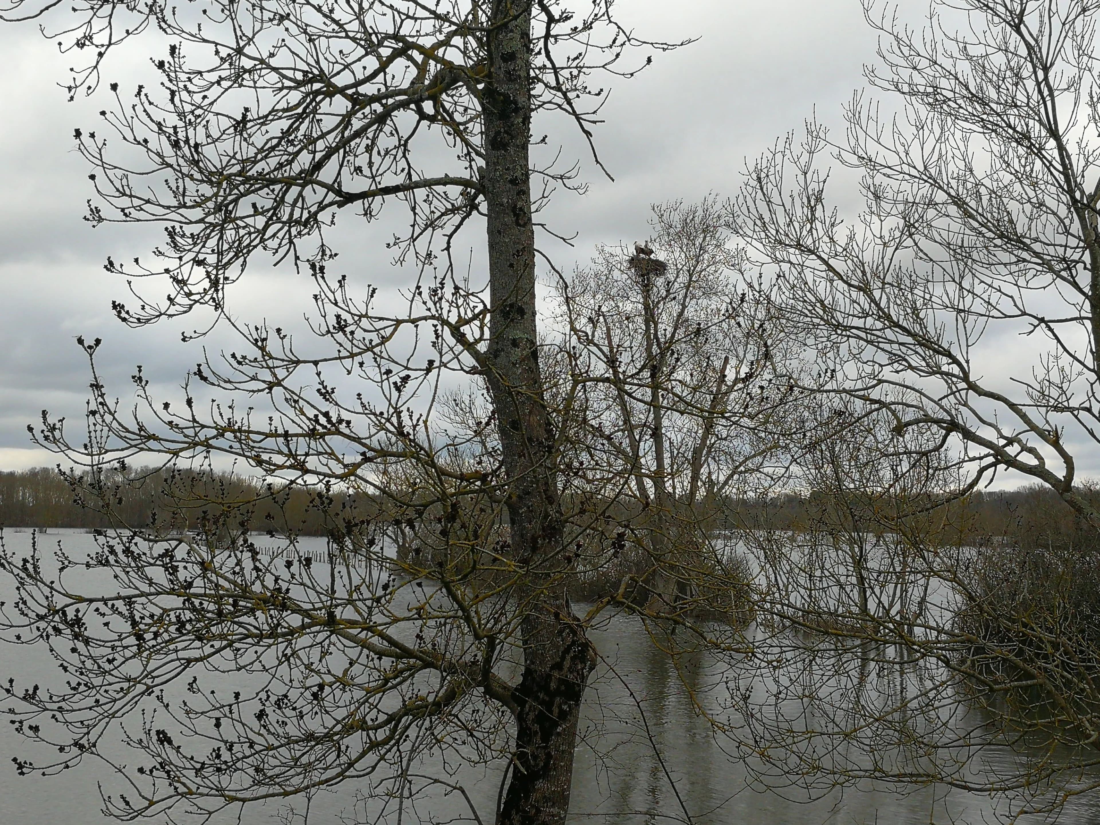 Image 22 de l'atmosphère et du paysage