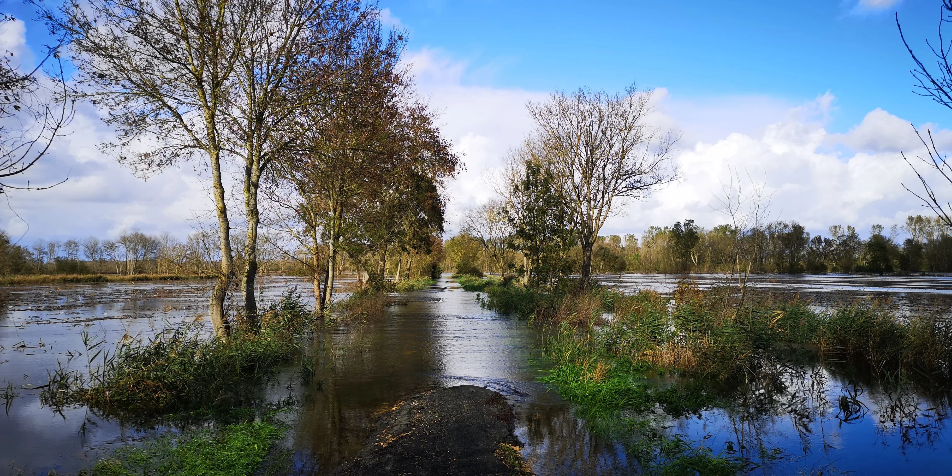 Image 38 de l'atmosphère et du paysage