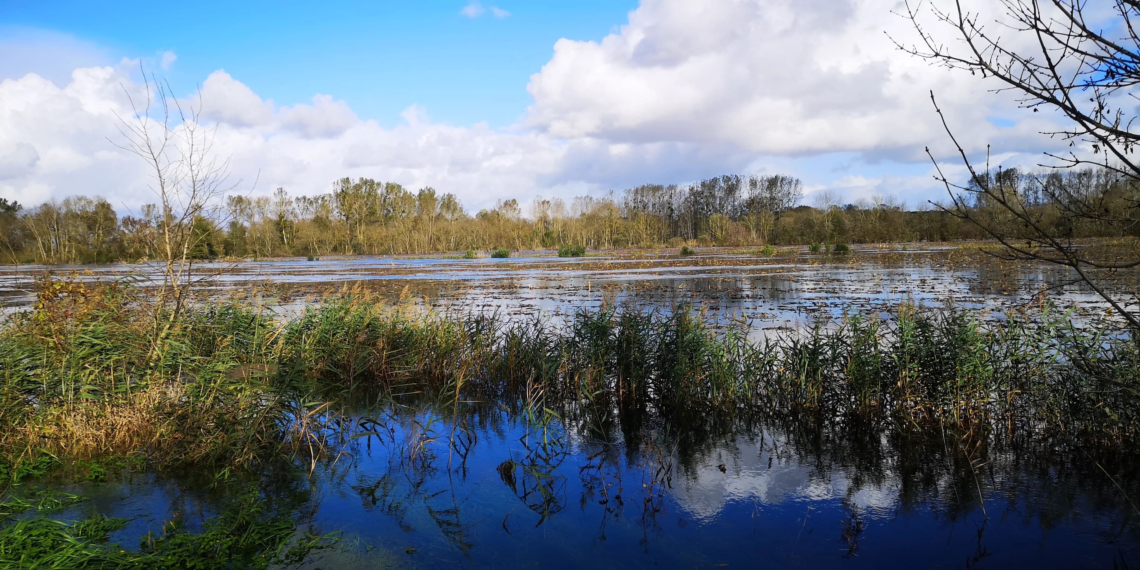 Image 39 de l'atmosphère et du paysage