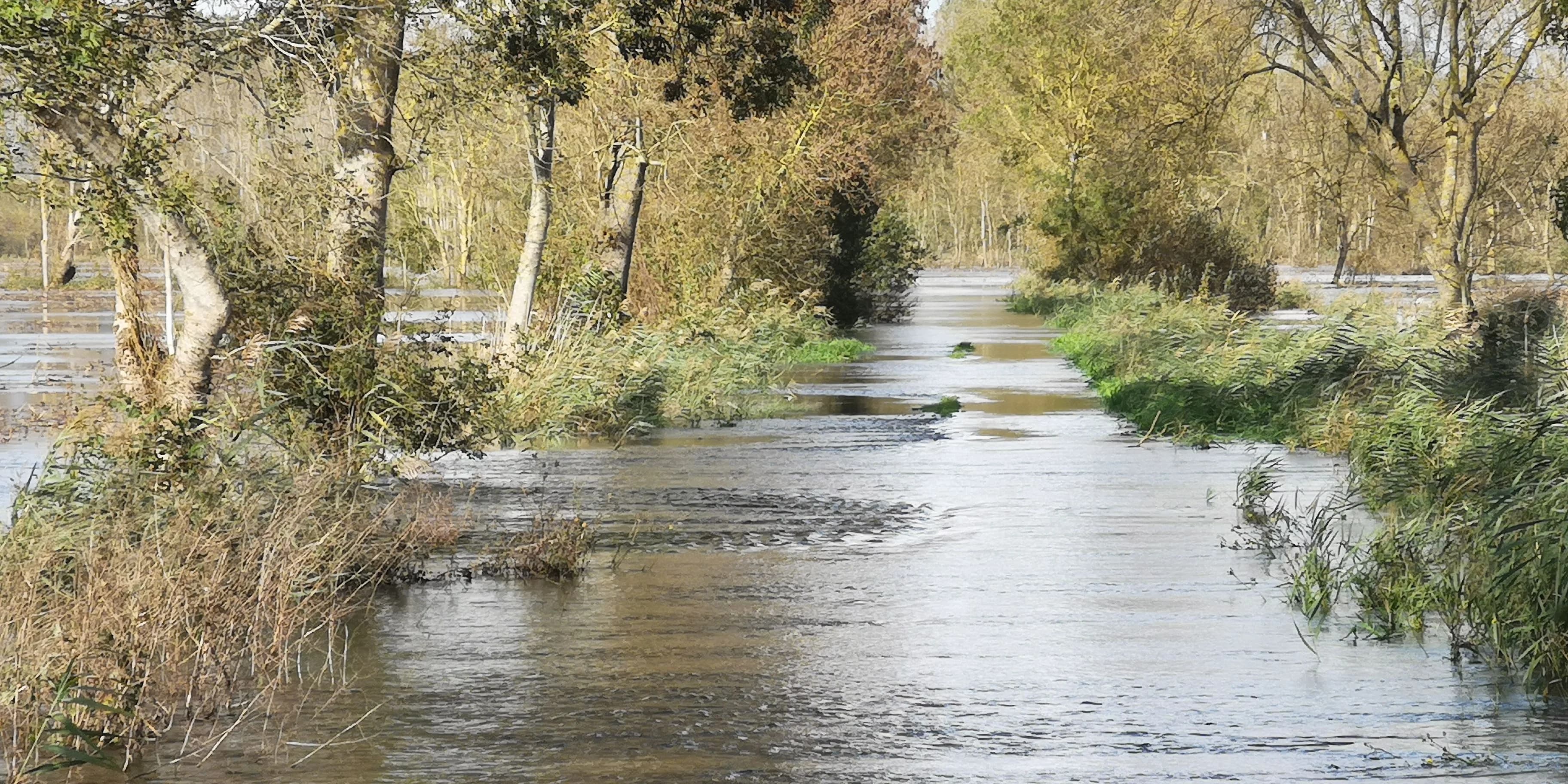 Image 40 de l'atmosphère et du paysage
