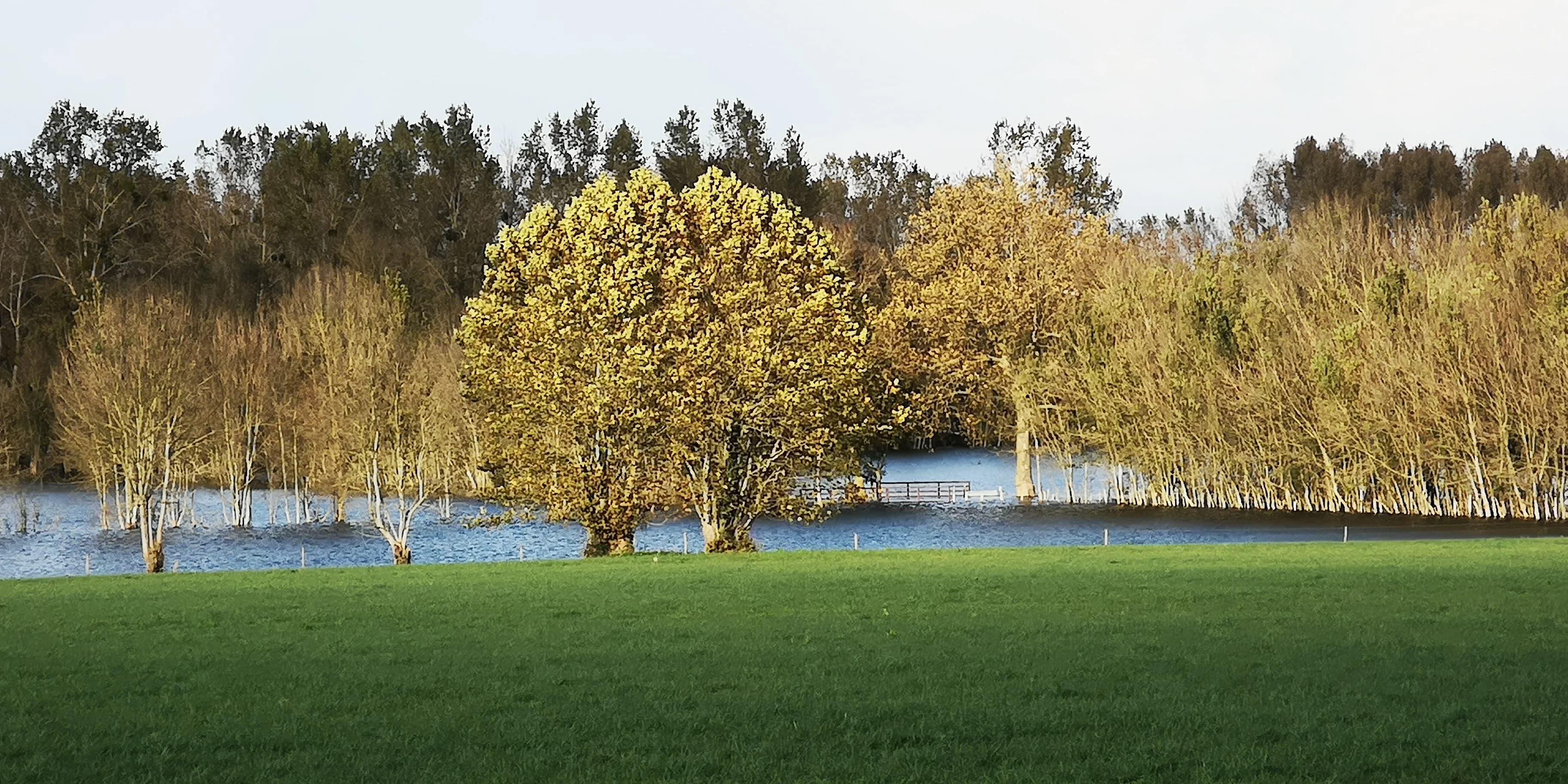 Image 43 de l'atmosphère et du paysage