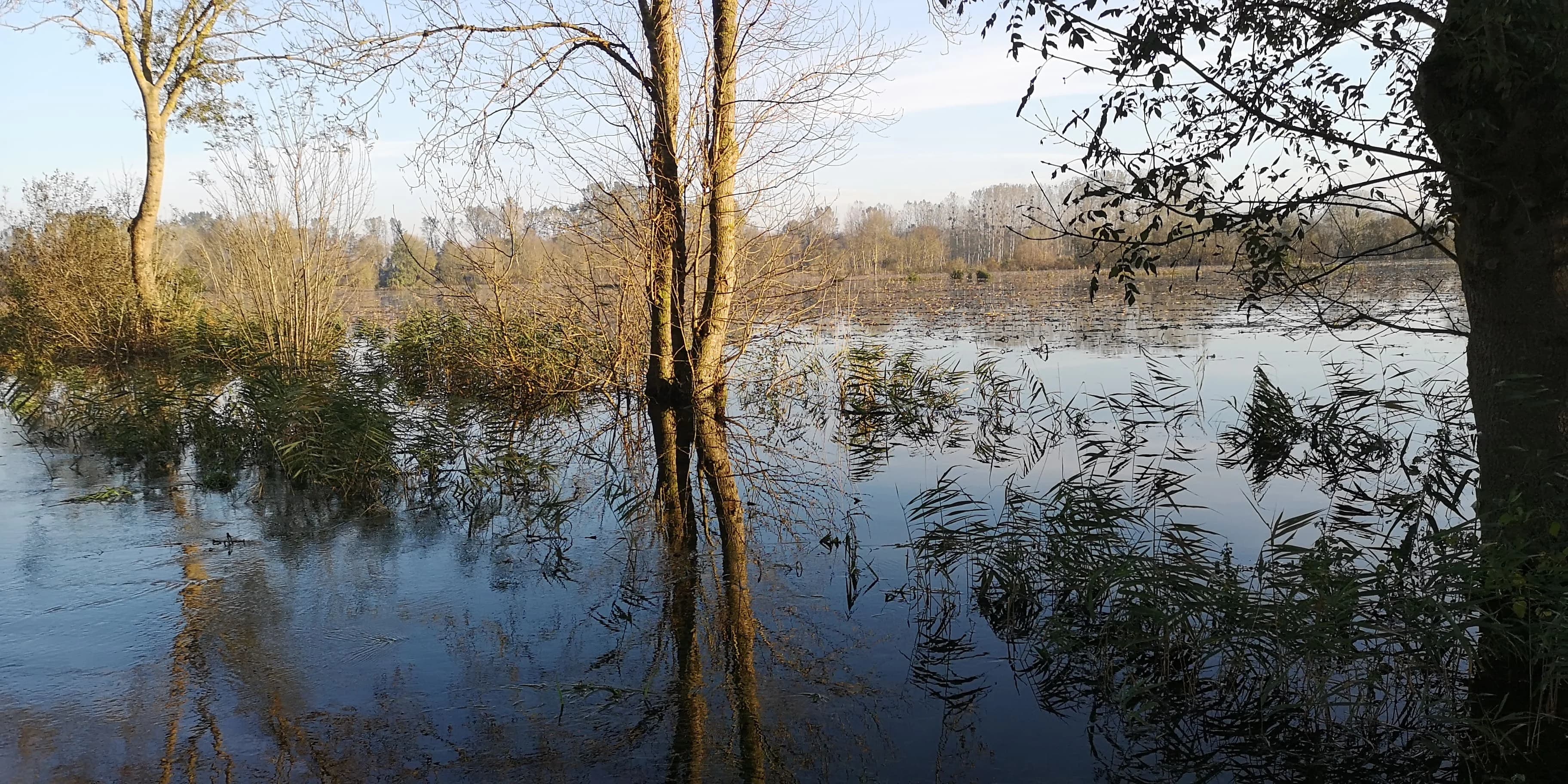 Image 44 de l'atmosphère et du paysage