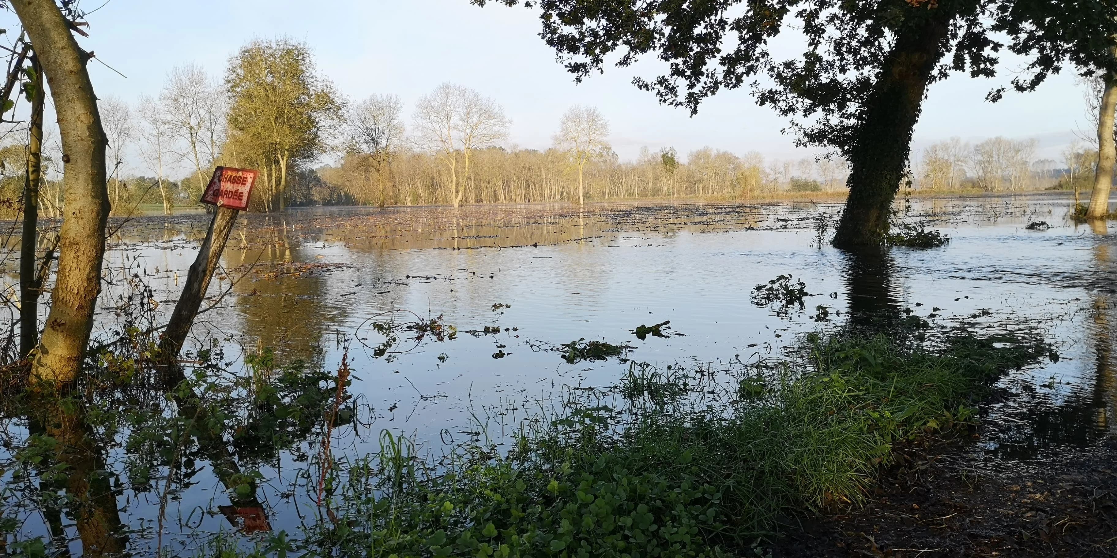 Image 45 de l'atmosphère et du paysage
