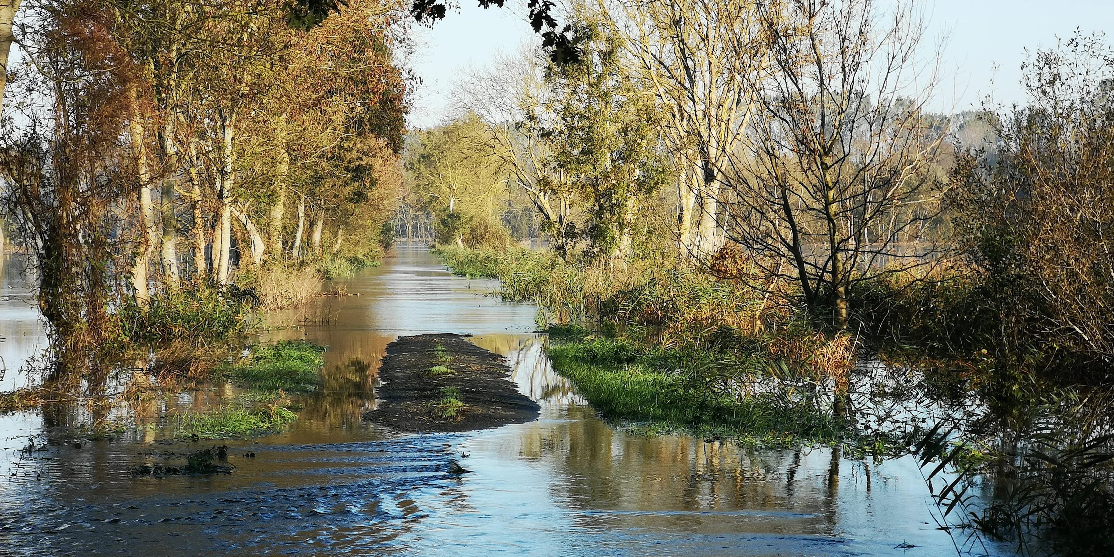 Image 46 de l'atmosphère et du paysage