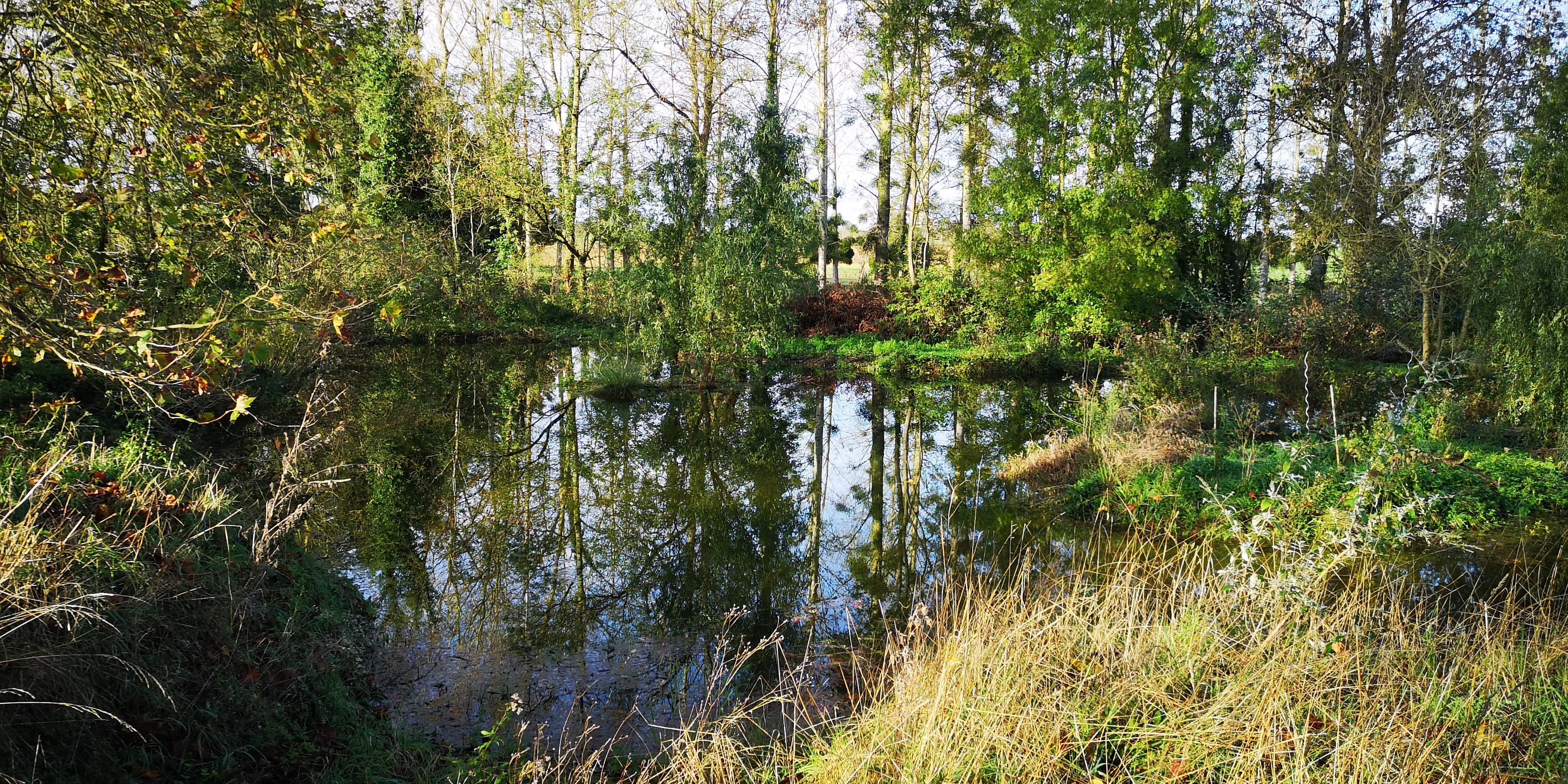 Image 47 de l'atmosphère et du paysage