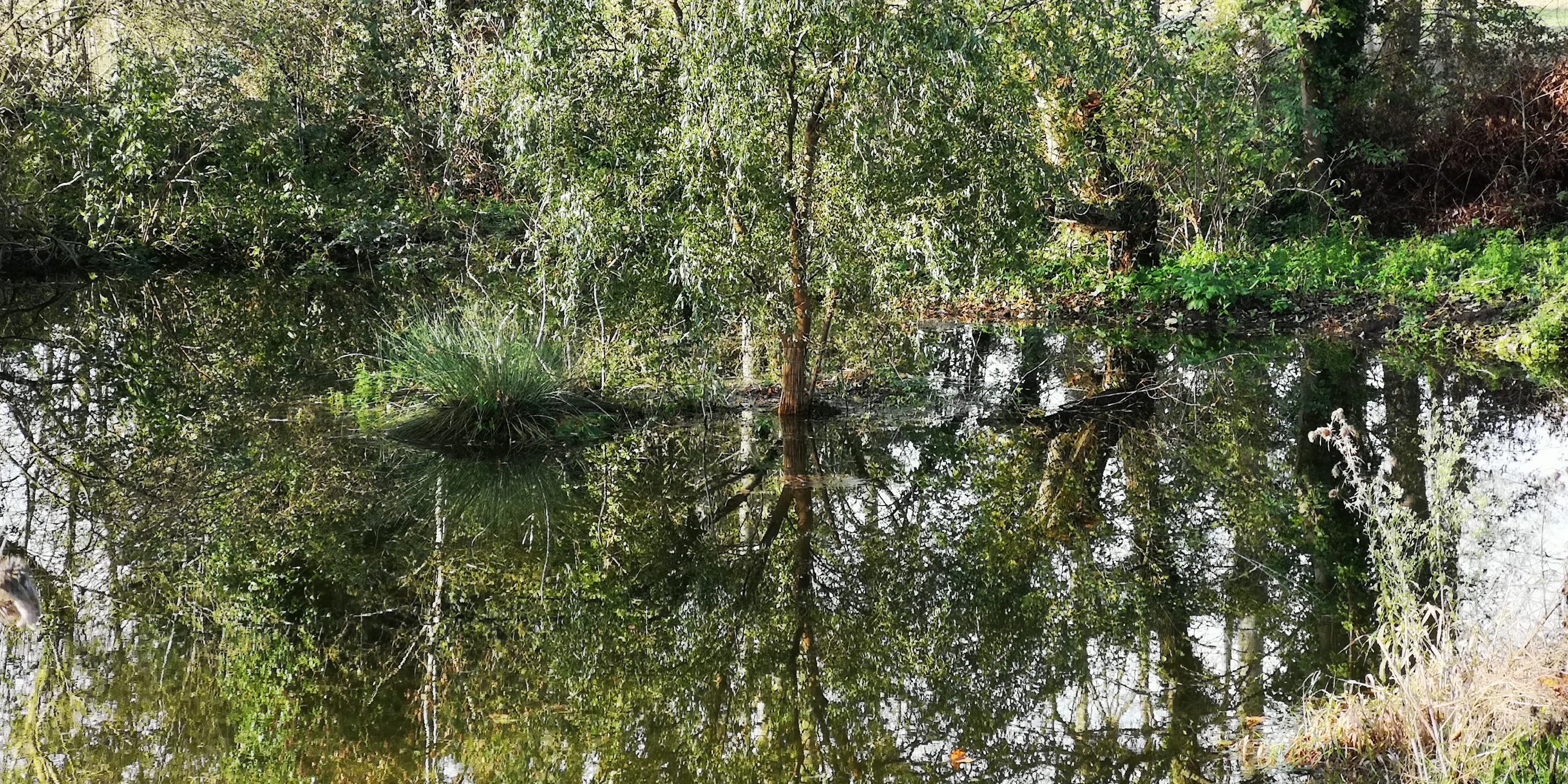Image 48 de l'atmosphère et du paysage