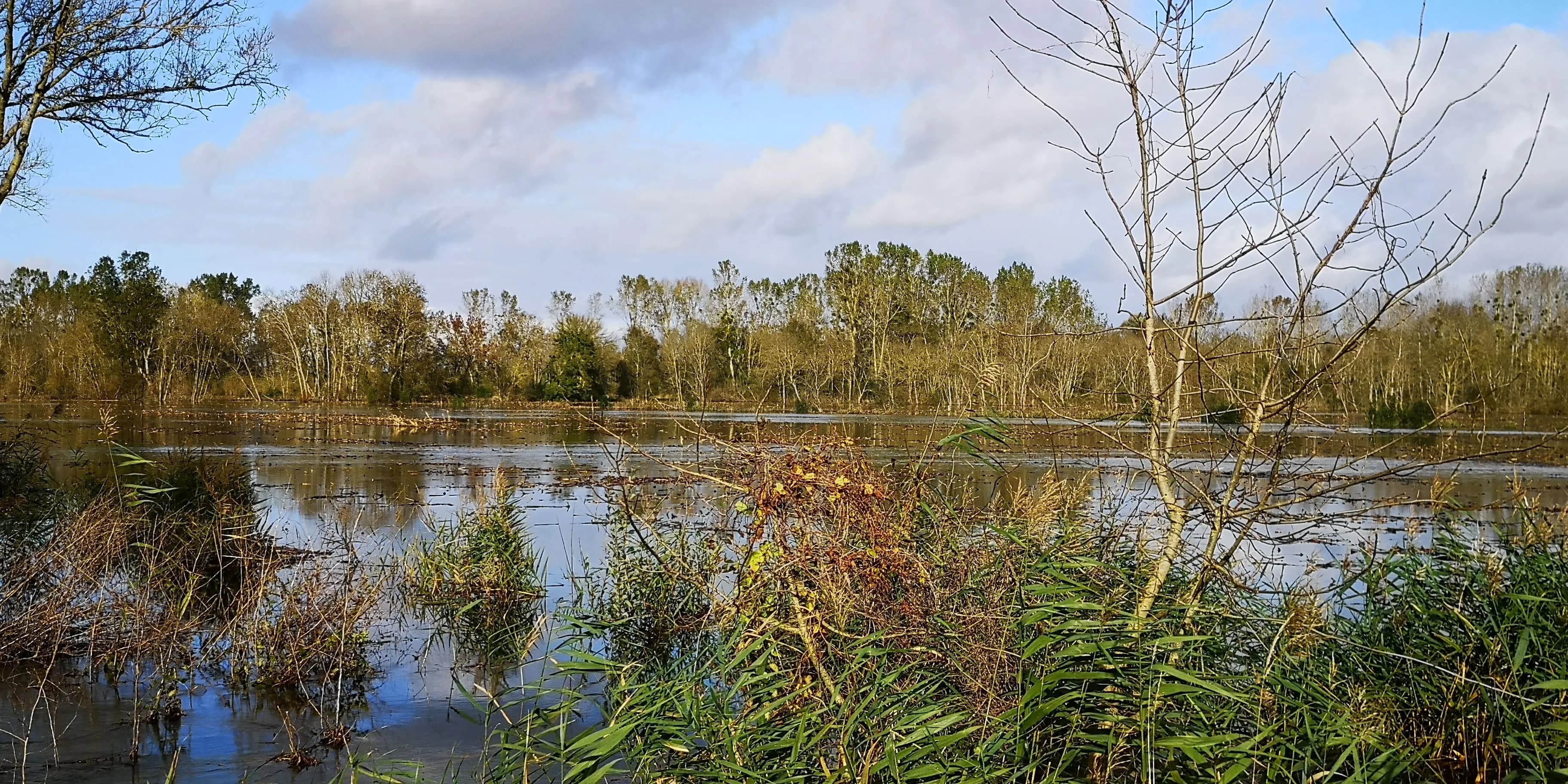 Image 51 de l'atmosphère et du paysage