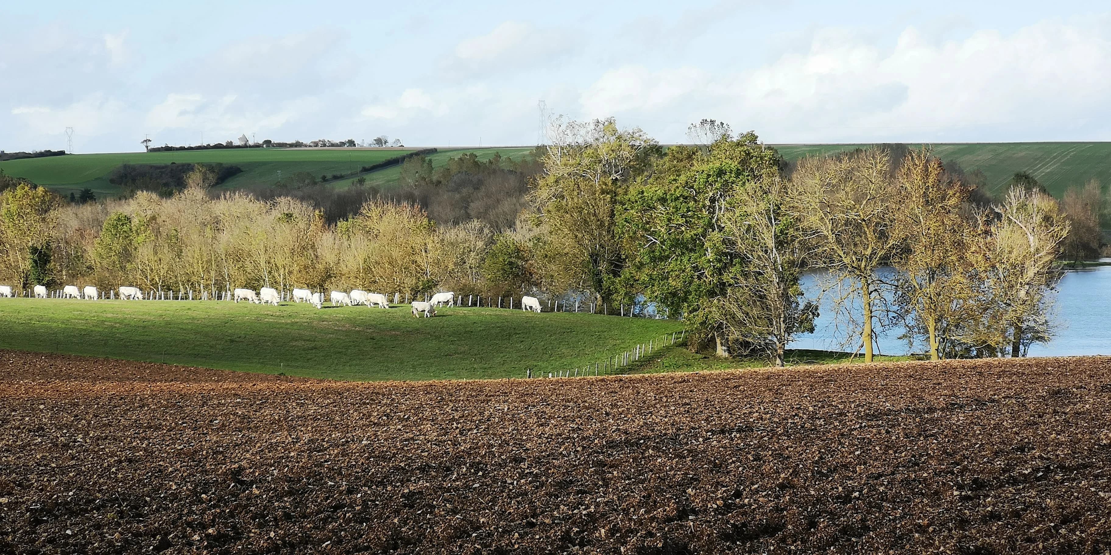 Image 53 de l'atmosphère et du paysage
