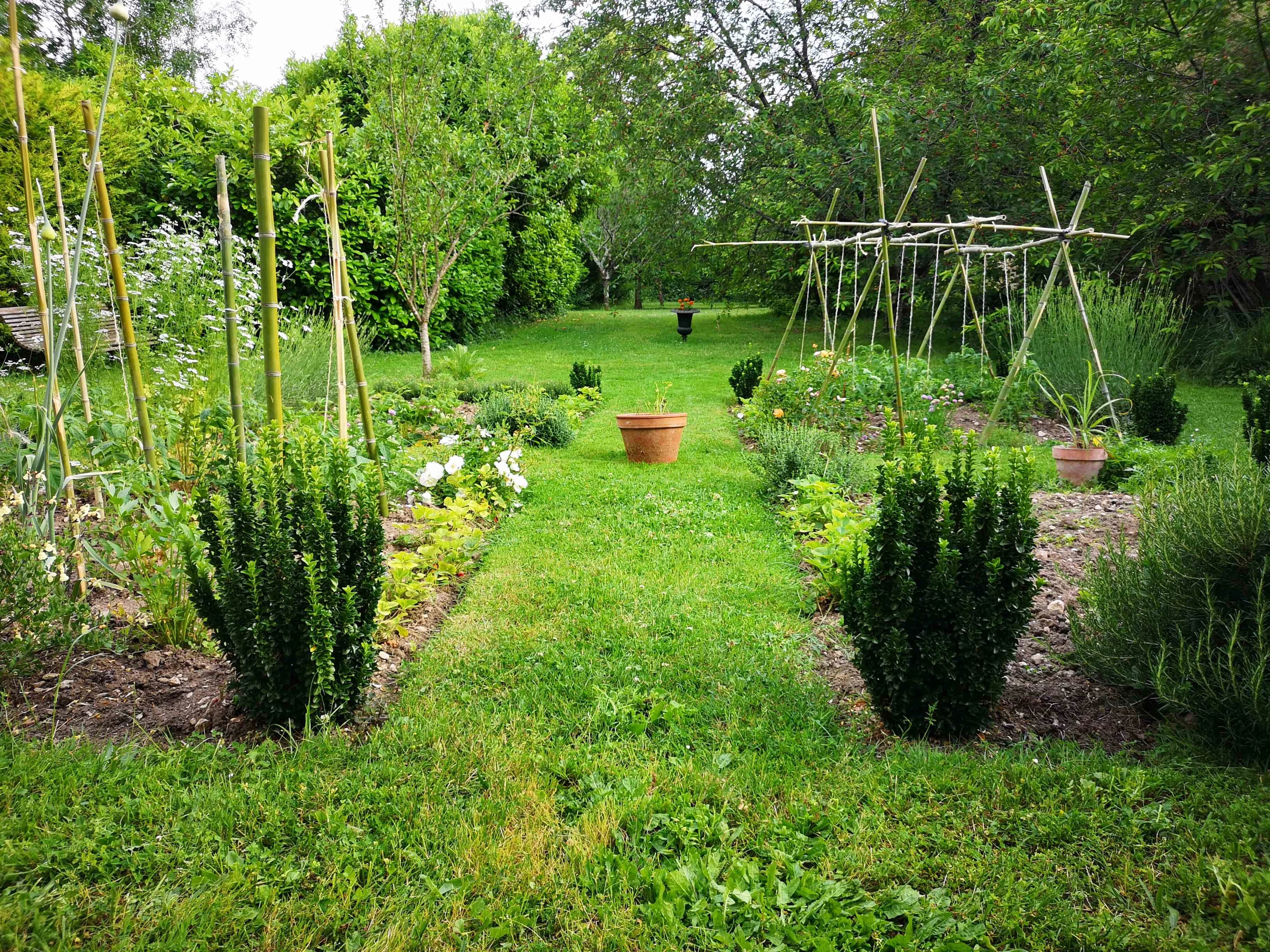 Photo jardin 2