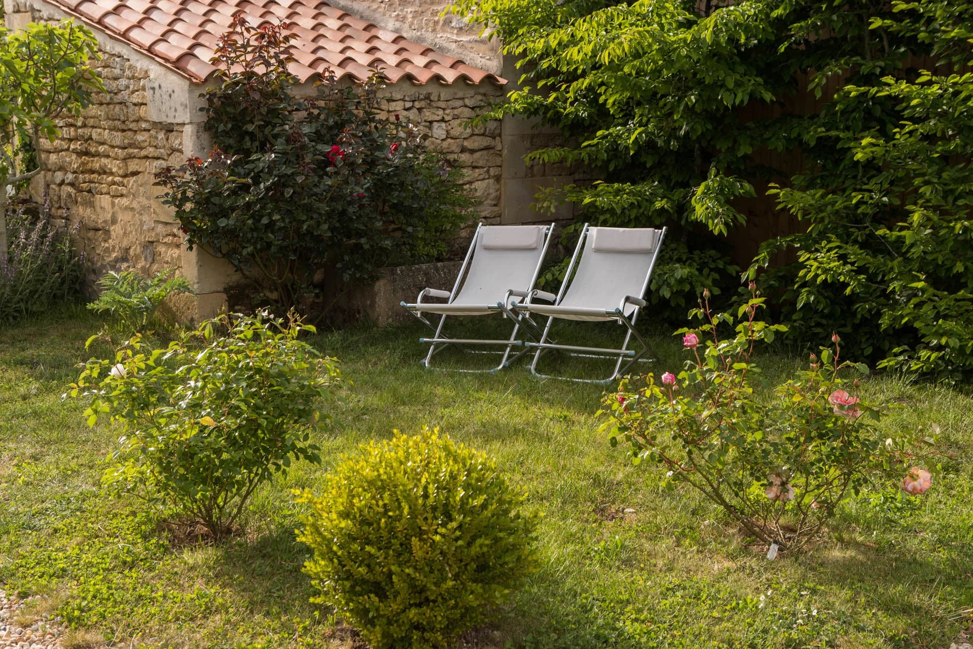 Photo jardin 3